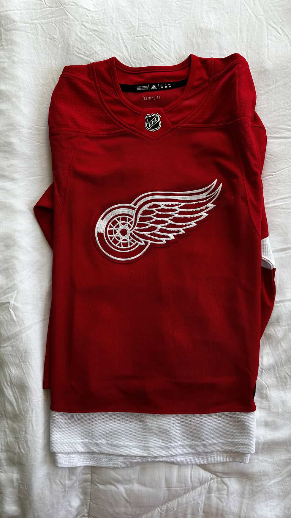 Small Red Wings Jersey - Image 2