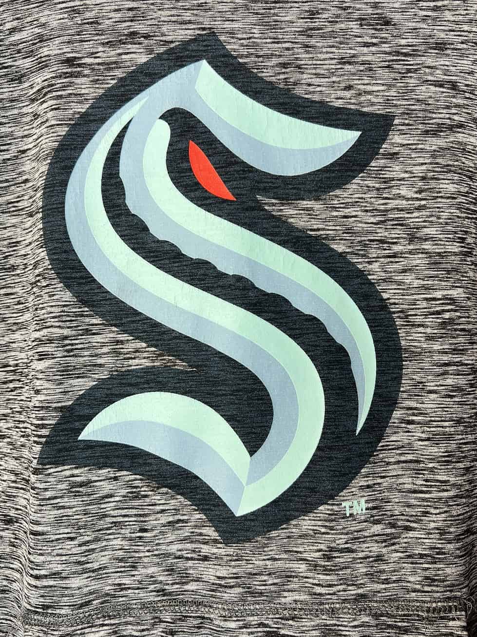 Close-up of the Seattle Kraken "S" logo shows light cracking in the print.