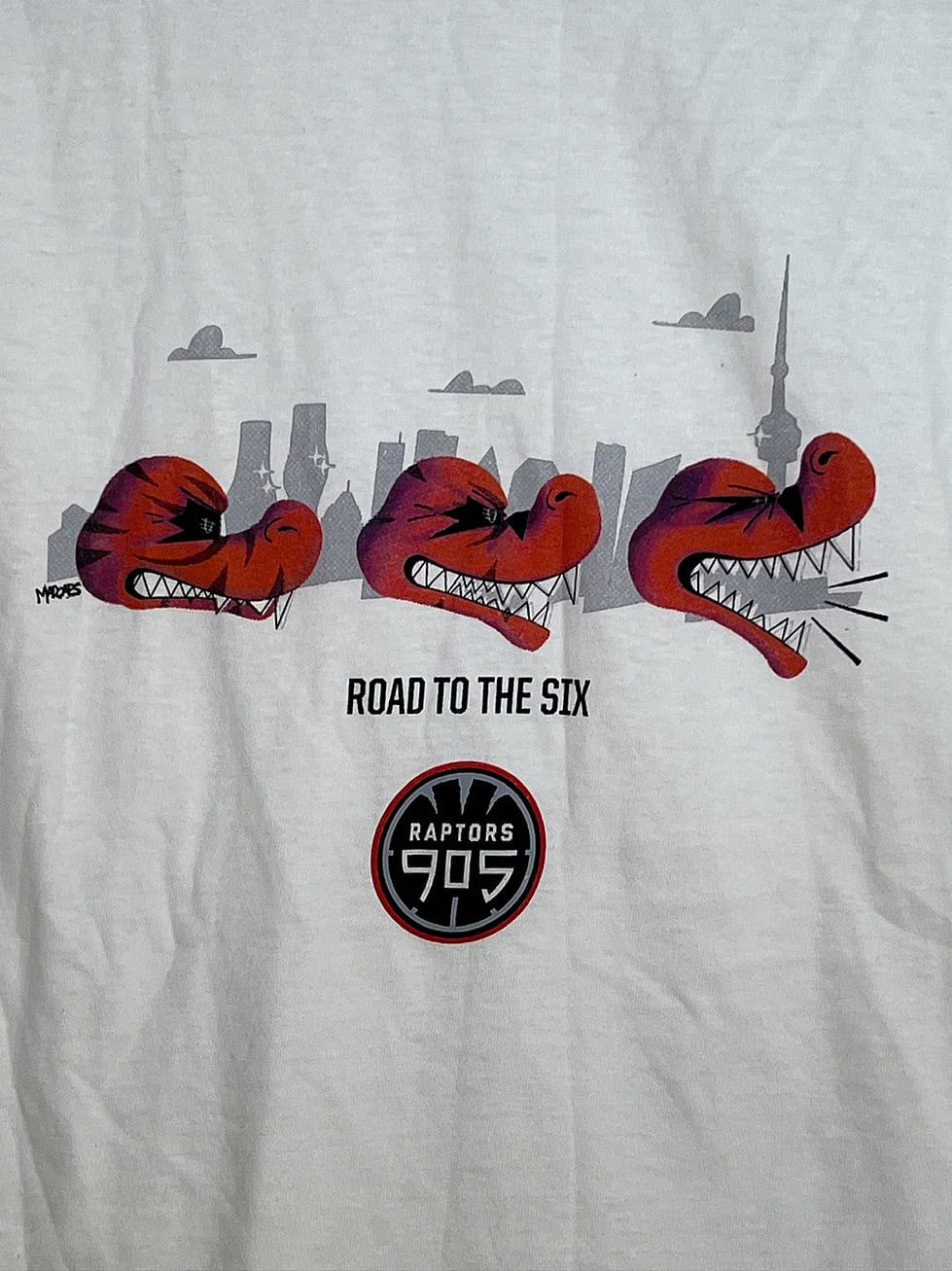 Close-up of Raptors 905 “Road to the Six” raptor graphic with team logo and Toronto skyline