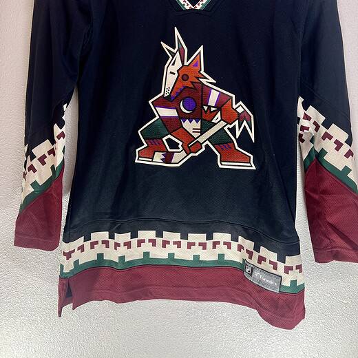 Arizona Coyotes Fanatics Kachina jersey front view with tribal pattern and coyote logo