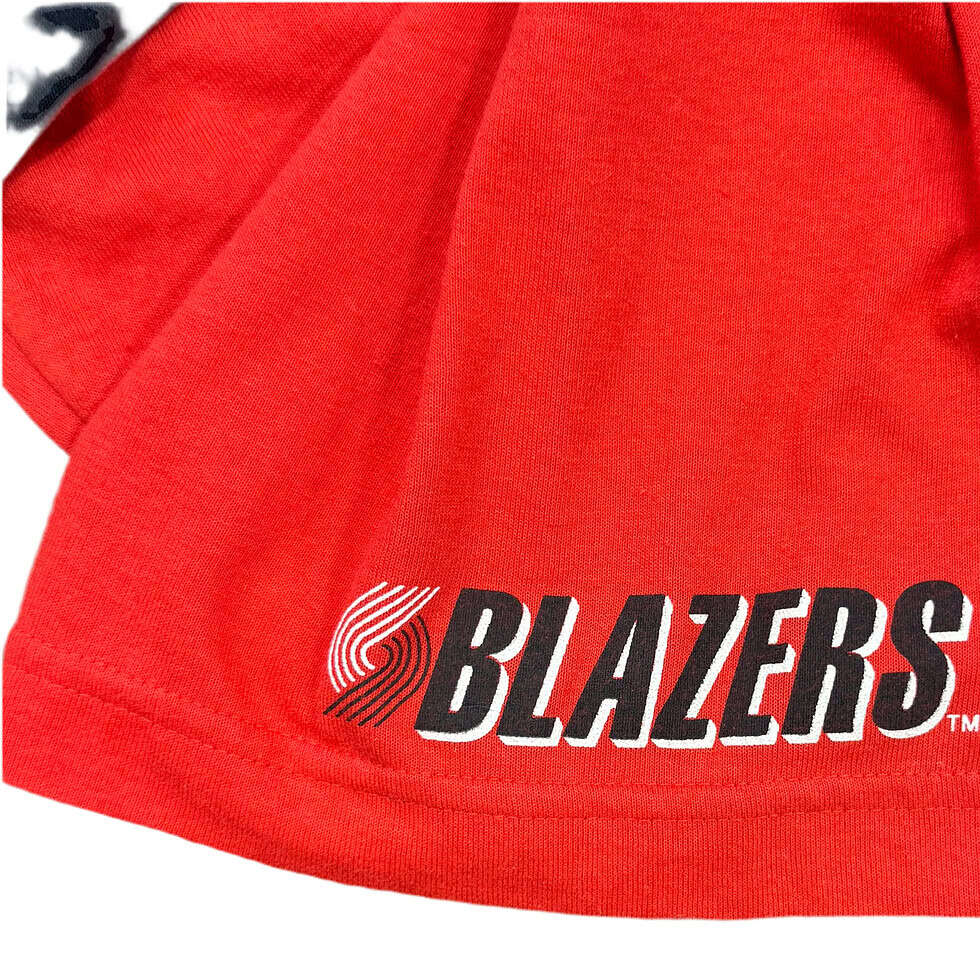 Logo 7 Portland Trail Blazers Hoodie Tee Sz L - Image 2