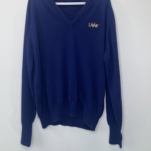 Vintage purple UW v-neck sweater by Antigua, size XL