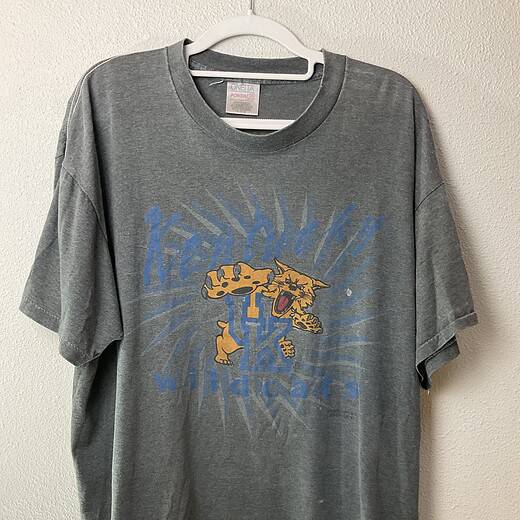 Front view of vintage University of Kentucky Wildcats T-shirt by Oneita, size Large