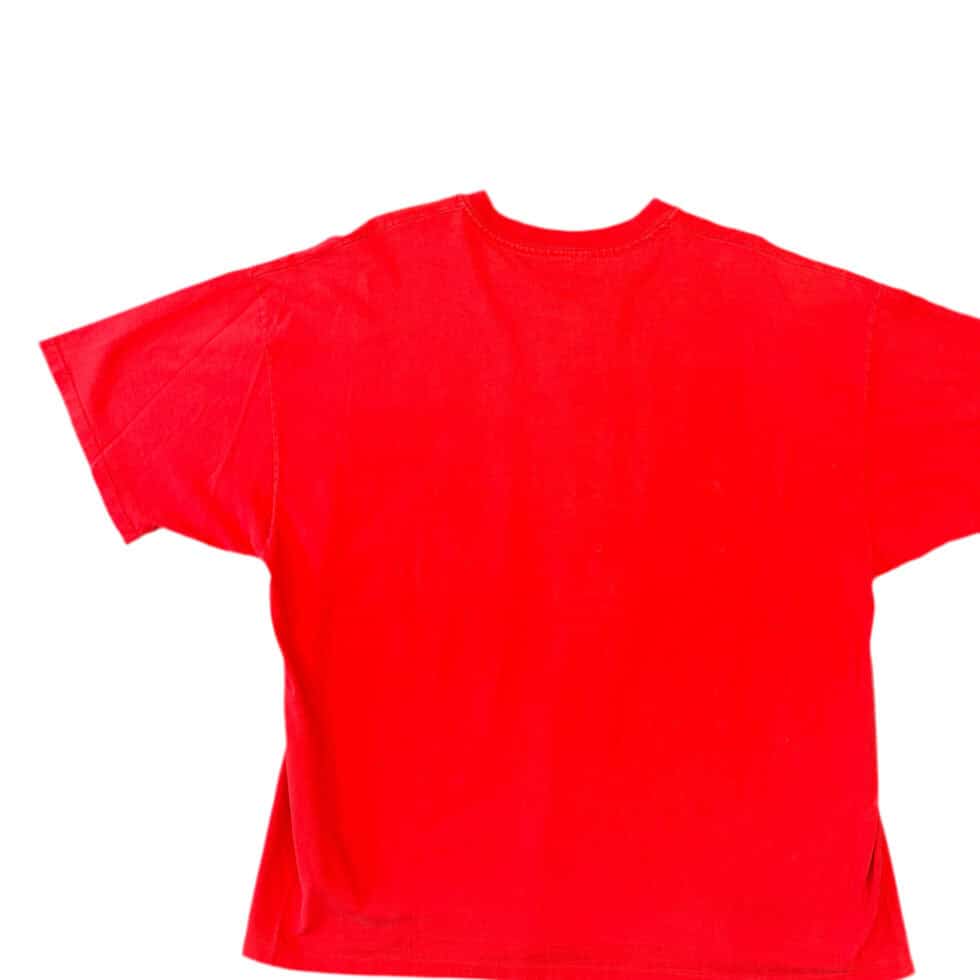 Team Hanes 90's Chicago Bulls Tee Sz 2X - Image 2