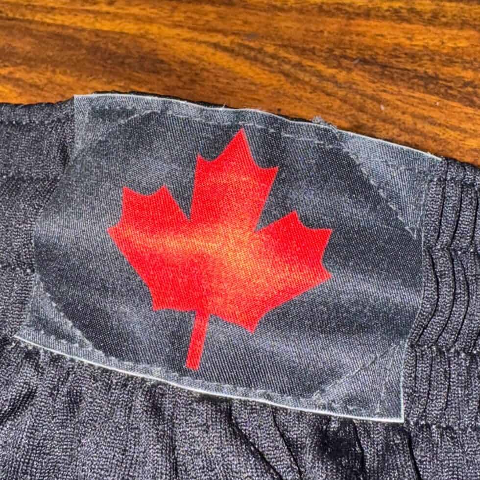 Nike Toronto Raptors Shorts Sz L - Image 5
