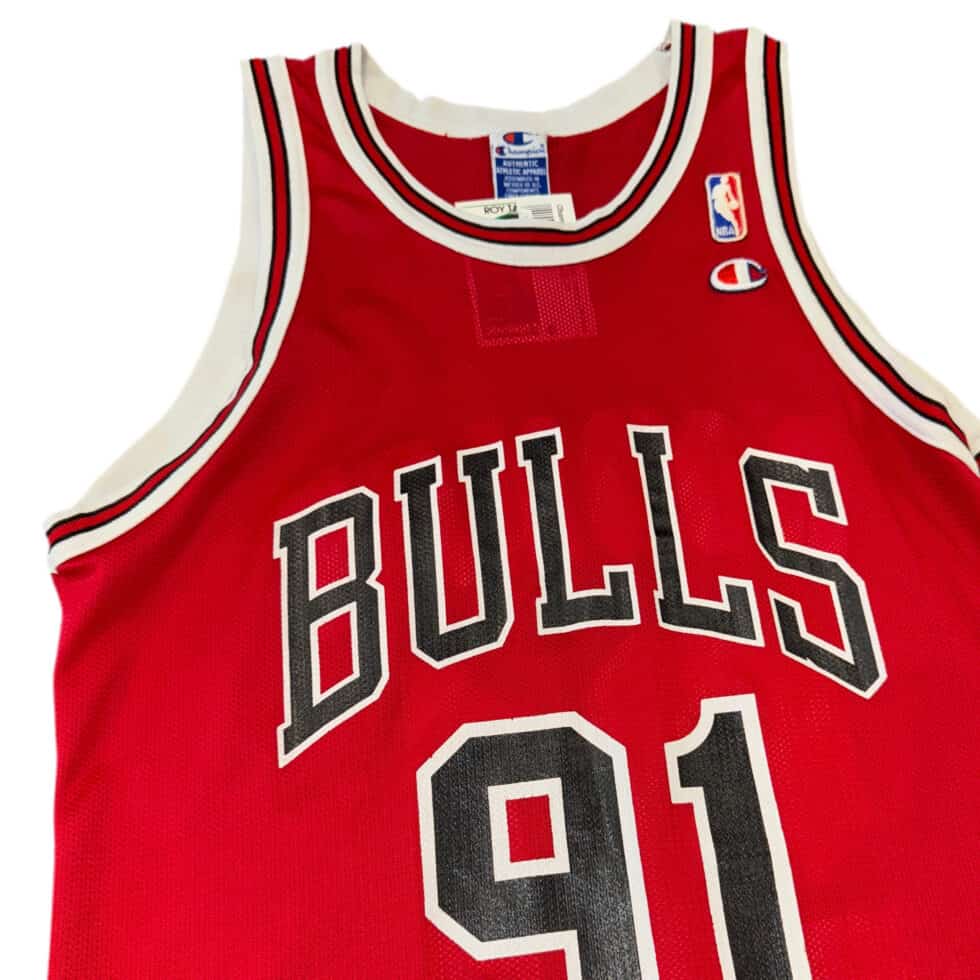 Champion Chicago Bulls Dennis Rodman Jersey Sz M - Image 3