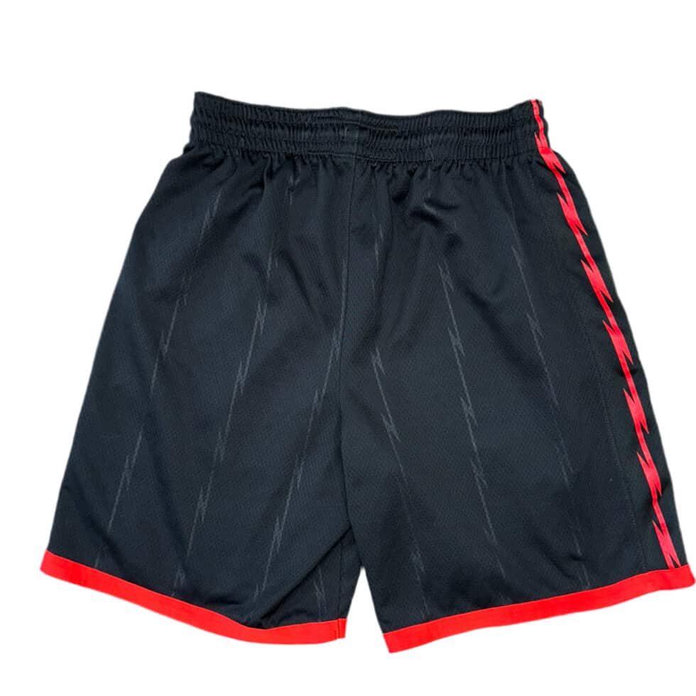 Nike Toronto Raptors Shorts Sz L - Image 2